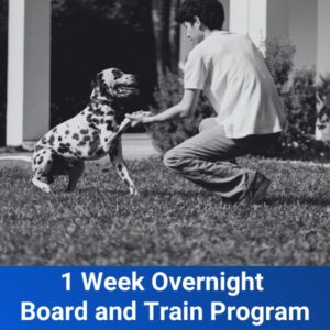 1 Week Overnight Board and Train Program