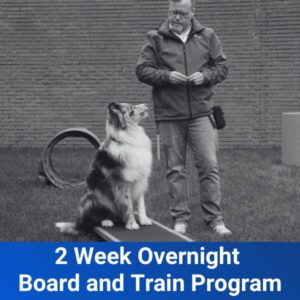 2 Week Overnight Board and Train program