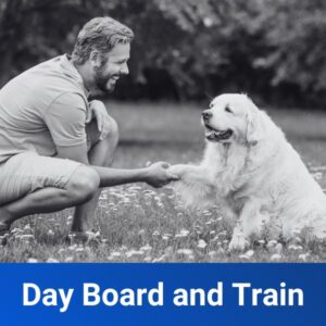 Day Board and Train
