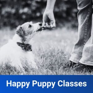 Happy Puppy Classes