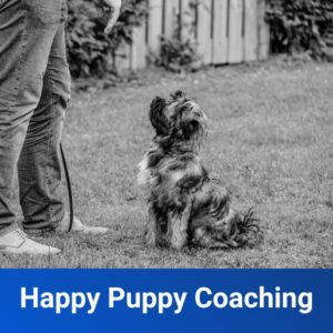Happy Puppy Coaching