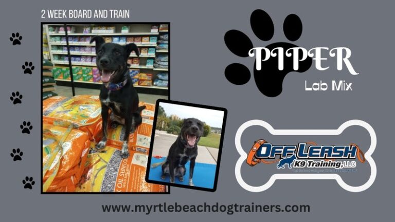 Joyell Leonard — Off Leash K9 Training of Myrtle Beach
